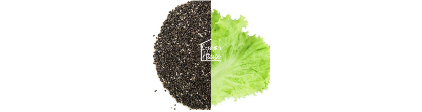 Semillas Hortícolas (gama amateur)